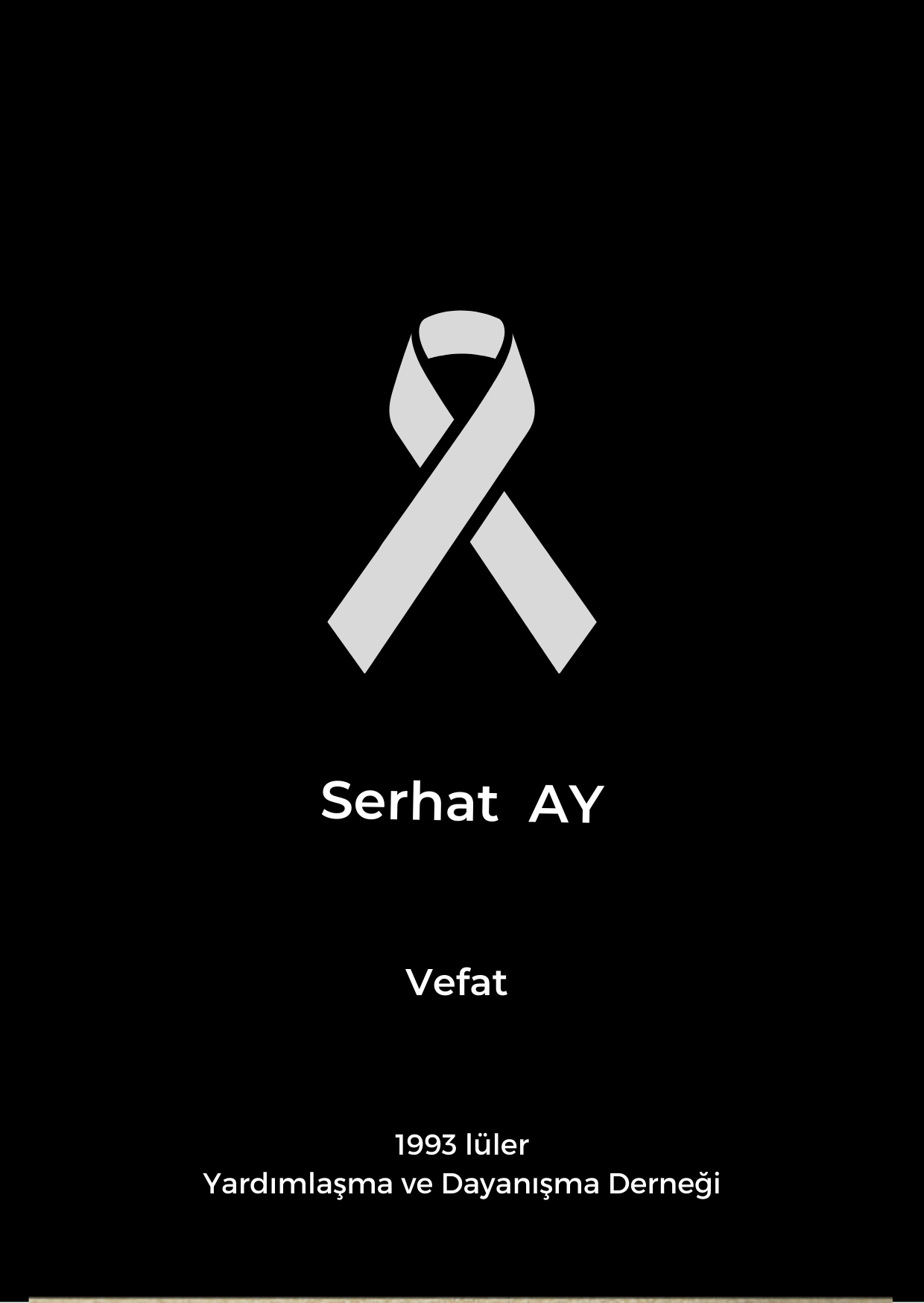 Serhat AY